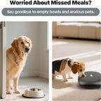 Rechargeable Automatic Timer Cat Feeder, Wet Food Auto Pet Food Dispenser for Small Dogs with Programmable Timer 8 oz per Meal, 5+1 Meals, Black